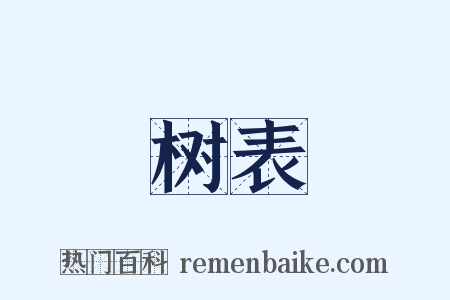树表是什么意思的图片